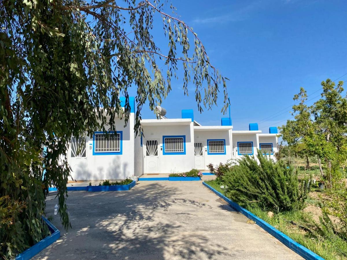 Elgreco Apartment, At Tigaki, Near The Sea "3" Exteriör bild